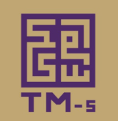 Logo TechMedic Solutions